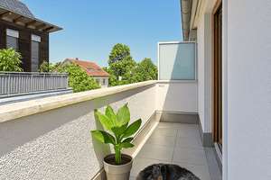 Property thumbnail 49