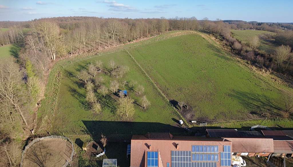 Immobilie in Menslage - Landwirtschaftliches Anwesen mit 20.000 m² Grundstück, großem Wohnhaus und Einliegerwohnung - Bild 3
