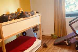 Lust auf Bullerbü -  Oben am Hang - Kleines 2Einheiten &Familienhaus im HH Eißendorfer Villenviertel – Hamburg – Vorschaubild 11