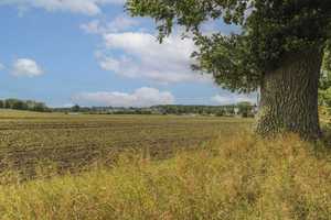 DHH mit Schleiblick und Option auf eine zweite Wohneinheit – Schleswig-Flensburg (Kreis) – Vorschaubild 15