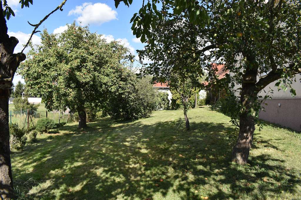 Immobilie in Beilrode - Charmantes Zweifamilienhaus mit großem Grundstück - Bild 3