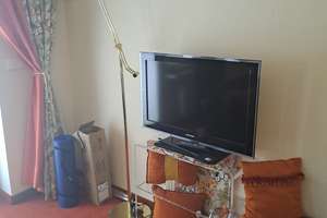 Möblierte 1-Zimmer-Wohnung am Kurpark in Grafenau – Venusberg 9, 94481 Grafenau – Vorschaubild 7