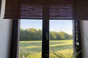 Sanierte Altbauwohnung im Denkmalhaus – Feldblick, hohe Decken & Designbad – Winkelhauser Straße 2, 47228 Bergheim, Duisburg – Vorschaubild 9