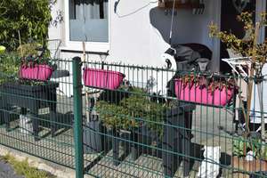 Leben im Grünen, 3 Häuser, 1.800 m², 28 Balkon- und Gartenwohnungen – Die vollständige Adresse der Immobilie erhältst du vom Anbieter., 45144 Frohnhausen, Essen – Vorschaubild 5