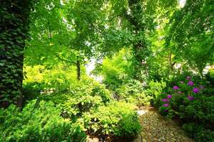 Property thumbnail 4