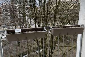 1-Zimmer Wohnung mit Balkon im 5. OG in München-Schwabing – Leopoldstraße 191, 80804 Münchner Freiheit, München – Vorschaubild 5