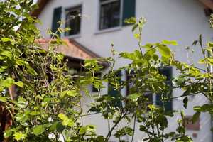 Individuelles Traumhaus mit Charme, Gartenidylle & vielen liebevollen Details – Limburg-Weilburg (Kreis) – Vorschaubild 48