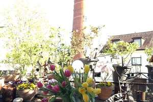 Eine ideale Altersvorsorge - Mehrfamilien + Geschäftshaus in guter Wohnlage – Die vollständige Adresse der Immobilie erhältst du vom Anbieter., 68259 Feudenheim, Mannheim – Vorschaubild 12