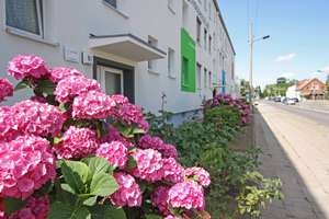 Wir sanieren für Sie! Dusche oder Badewanne? Sie entscheiden! – Friedrichstraße 61, 39387 Oschersleben (Bode) – Vorschaubild 1