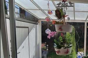 Property thumbnail 8