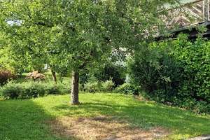 Leben im Einklang mit der Natur
Zweistöckiges Einfamilienhaus mit Garten und mehr… – Die vollständige Adresse der Immobilie erhältst du vom Anbieter., 51597 Morsbach – Vorschaubild 18