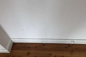 Letztes 2 Zi-Appartment mit großer Terrasse ,EBK, Bad mit Dusche – Zeppelinstrasse 44, 14471 Potsdam West, Potsdam – Vorschaubild 23