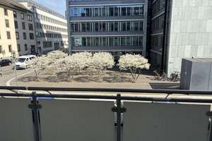 Helle 2-Zimmer Wohnung mit Balkon im 1. OG in Mainz-Altstadt