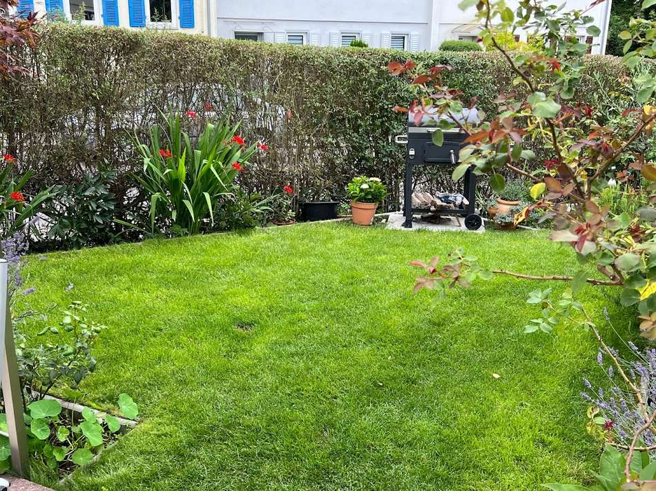 Rasen vor der Terrasse