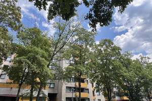 PERFEKT FÜR KAPITALANLEGER -GROSSZÜGIGE & HELLE 3-ZIMMER WOHNUNG MIT BALKON IN  KÖLN-SEEBERG – 50769 Seeberg, Köln – Vorschaubild 4