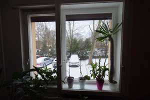 Schöne 2-Zimmer-Wohnung in Marienfelde – Meßmerstraße 14, 12277 Marienfelde, Berlin – Vorschaubild 25