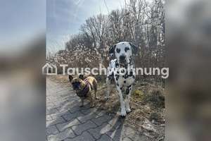 Tauschwohnung: Suche größere Wohnung in Regensburg zum Tausch – Nonnenplatz 5, 93047 Innenstadt, Regensburg – Vorschaubild 8