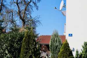 Idyllisches Landhaus in ruhiger Lage – Walchsing bei Aldersbach  // Provisionsfrei // – Osterhofener Straße 2, 94501 Passau (Kreis) – Vorschaubild 7