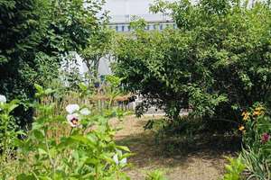 Reihenendhaus in ruhiger Lage – Die vollständige Adresse der Immobilie erhältst du vom Anbieter., 64297 Eberstadt, Darmstadt – Vorschaubild 2