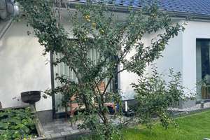 Eleganter Bungalow in Markkleeberg – Pool, Kamin & nachhaltiger Wohnkomfort – Die vollständige Adresse der Immobilie erhältst du vom Anbieter., 4416 Markkleeberg – Vorschaubild 2