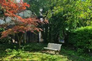 Repräsentatives Wohnen in Bestlage: Großzügige Maisonette mit Gartenflair in LU- Süd – 67061 Süd, Ludwigshafen am Rhein – Vorschaubild 9