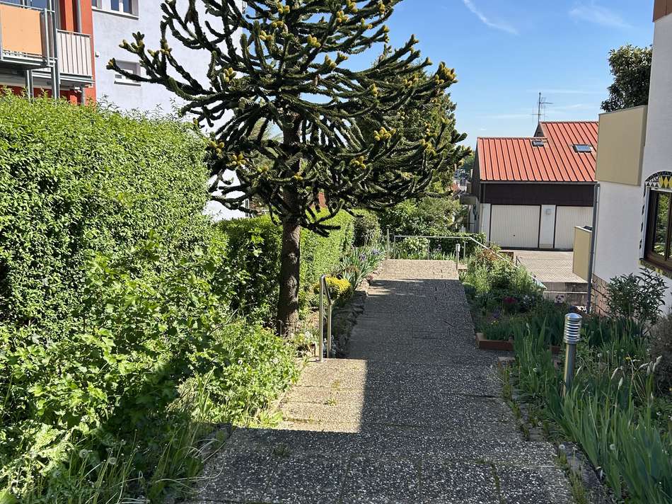 Zugang