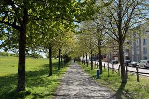 Neubaugebiet Hannover KRONSRODE: Einbauküche/Kochinsel, Balkon, 2 Bäder, Fußbodnhzg, Lift, Kellr, TG – Bette-Graham-Straße 32, 30539 Bemerode, Hannover – Vorschaubild 4