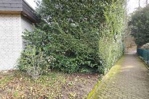 Bungalow mit Naturanschluss in ruhiger Endlage – 1.057 m² Grundstück & durchdachter Raumaufteilung – Die vollständige Adresse der Immobilie erhältst du vom Anbieter., 33689 Sennestadt, Bielefeld – Vorschaubild 8
