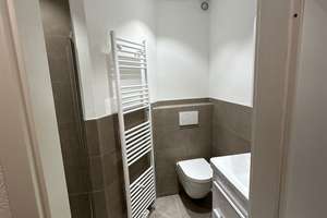 Selbst einziehen, aktuell Vermietet, renoviert, 540€/Monat, Apartment, ca. 40m², 1,5 ZKB, inkl. EBK. – 67067 Maudach, Ludwigshafen am Rhein – Vorschaubild 4