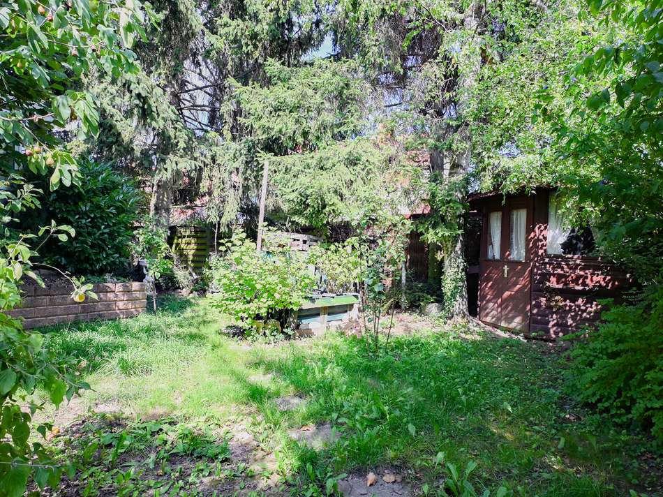 Garten / Außenbereich