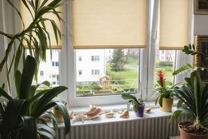 Vermietete 2-Zimmer-Wohnung in grüner Lage von Berlin-Lichtenrade – attraktive Kapitalanlage – Barnetstraße 31C, 12305 Lichtenrade, Berlin – Vorschaubild 6
