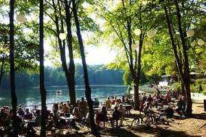 Property thumbnail 16