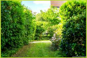 Repräsentatives Anwesen mit 2 Wohneinheiten  (Doppelhaus) und Doppelgarage in attraktiver Wohnlage – Finkenweg 6, 64390 Darmstadt-Dieburg (Kreis) – Vorschaubild 59