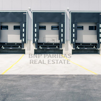 TOP-Logistikhalle in Köln / Rampen / Regalierungssystem / BNP Paribas Real Estate