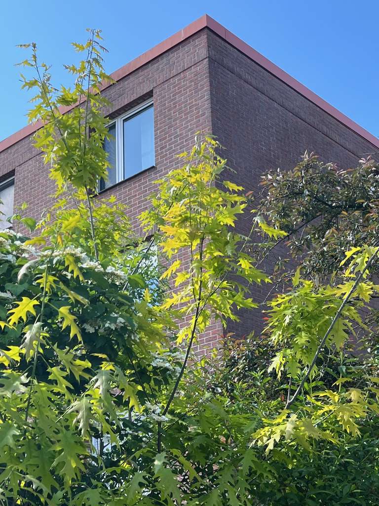 Mitten in Glessen: wunderschöne und topgepflegte Wohnung mit tollem Grundriss und 2 Stellplätzen!
