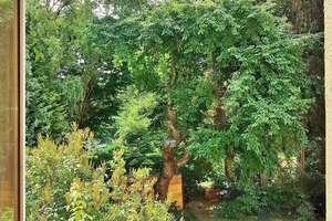 Moritzberg, gutes Wohnen in ruhigem Haus – Die vollständige Adresse der Immobilie erhältst du vom Anbieter., 31139 Hildesheim – Vorschaubild 10