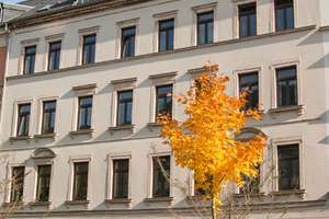 Tolle Wohnung mit Balkon an der Küche - großer grüner Innenhof – Further Straße 40, 9113 Schloßchemnitz, Chemnitz – Vorschaubild 2