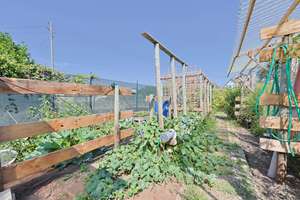 Familientraum mit großem Garten und moderner Energietechnik - Provisionsfrei ! – 67459 Böhl-Iggelheim – Vorschaubild 22