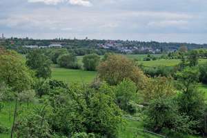 Wohnen Höhe Baumwipfeln für ALLEINSTEHENDE, ZWEISAMKEIT im ANGEHENDEN oder SENIORENALTER  – Die vollständige Adresse der Immobilie erhältst du vom Anbieter., 65207 Kloppenheim, Wiesbaden – Vorschaubild 16