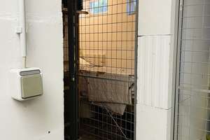 Top-Lage | 4-Zimmer | 14.040 € Kaltmiete/J. | Stellplatz | S-Bahn | Grenze Frankfurt | Privatverkauf – 63067 Ledermuseum, Offenbach am Main – Vorschaubild 9