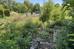 Sehr grüne, ruhige und familienfreundliche Lage in Stadecken; EFH im Atrium-Stil – Talstraße 37, 55271 Stadecken-Elsheim – Vorschaubild 4