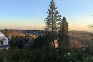 Exklusives, freistehendes EFH in begehrter Lage von Schlangenbad-Georgenborn – Rheingau-Taunus-Kreis – Vorschaubild 14