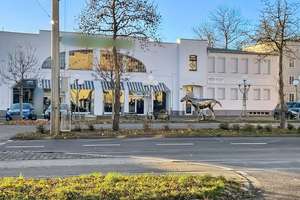 Property thumbnail 18