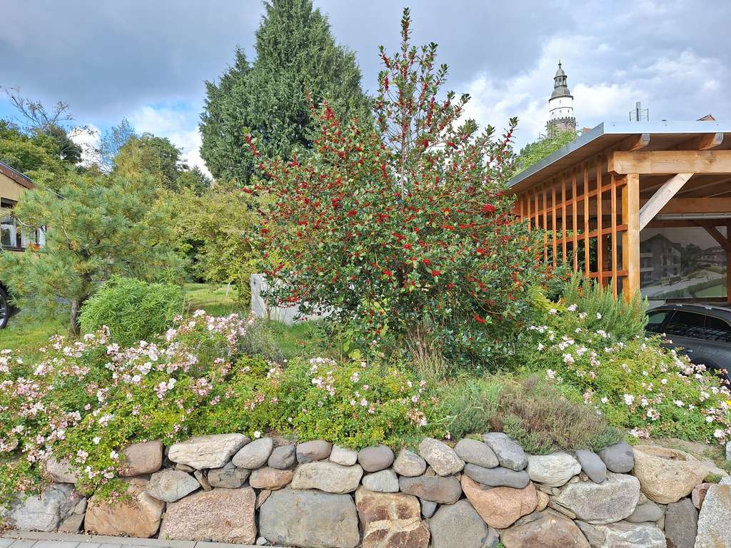 Immobilie in Kamenz - Kamjenc - Häusschen im Grünen - Bild 3