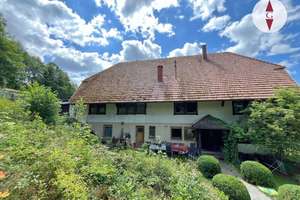 Fohrenbühl. Unabhängig und selbstbestimmt leben! Ideal als Retreat, Pferdehof oder Ferienhaus. – Die vollständige Adresse der Immobilie erhältst du vom Anbieter., 78132 Hornberg – Vorschaubild 5