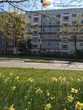 Keine Kaution für Studenten! Schöne 3-Raumwohnung im Herzen von Schmarl mit Balkon und Badewanne