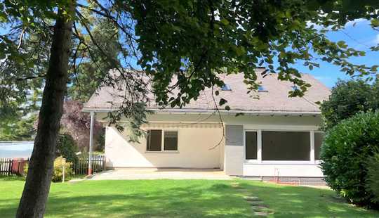 Bild von Ruhe und Natur am Waldrand!