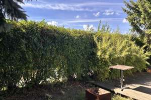 Attraktiver Bungalow in ruhiger Lage von Magdeburg | 108 m² | Garage | provisionsfrei – Die vollständige Adresse der Immobilie erhältst du vom Anbieter., 39118 Reform, Magdeburg – Vorschaubild 25