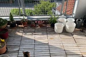 WI-Nordenstadt: Exklusive Maisonette 3-ZKB2B sucht nette Mieter. – Die vollständige Adresse der Immobilie erhältst du vom Anbieter., 65205 Nordenstadt, Wiesbaden – Vorschaubild 3