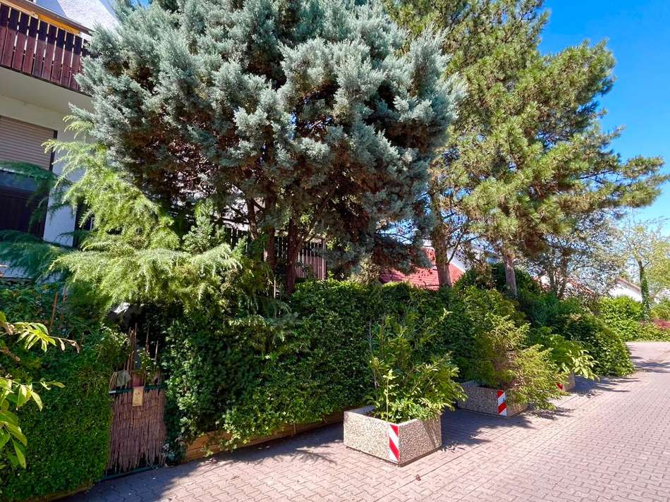 Gartenbereich von außen